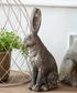 Olivia Hare D&eacute;cor
