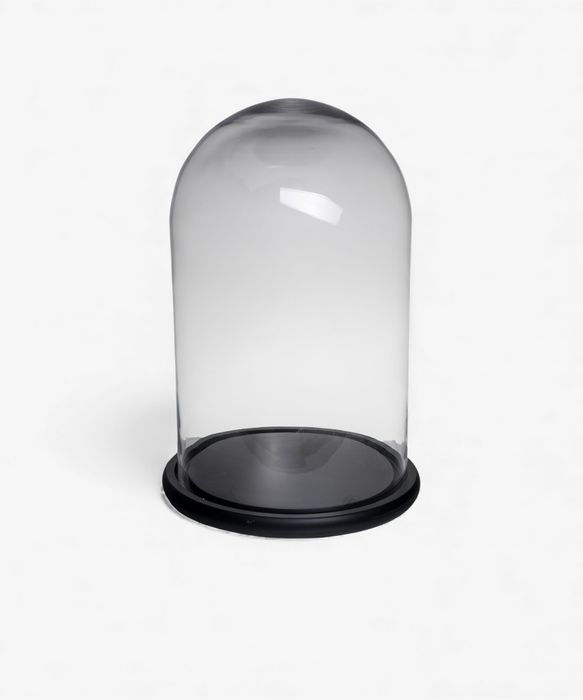 Tall Wide Dome Black Base