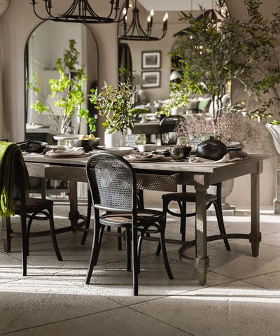 Trixie Dining Table Desk