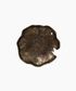 Iron Bowl Aged Gold