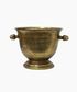 Portofino Gold Champagne Bucket Short