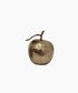 Decorative Apple