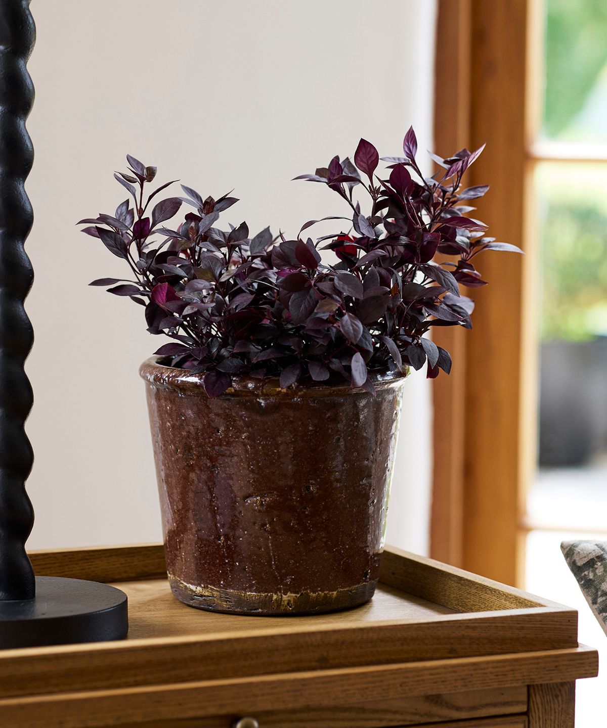 Brown Glazed Terracotta Pot