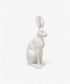 Harold the Hare White