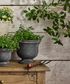 Georgio Planter Large