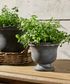 Georgio Planter Small