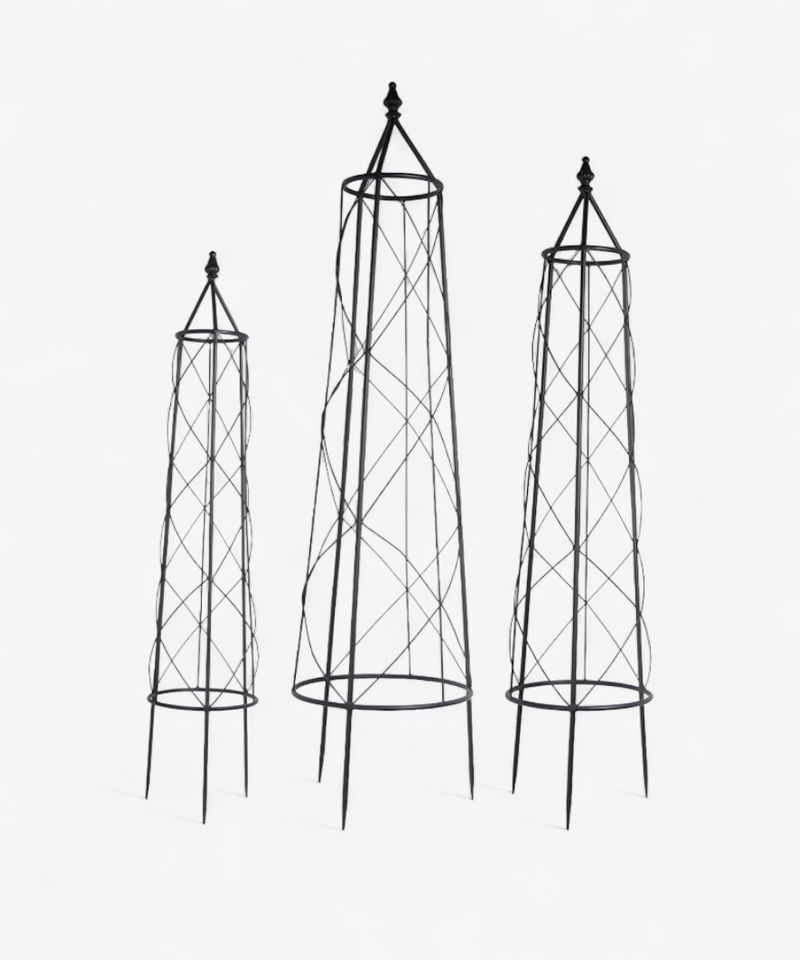 Ivy Plant Trellis (SET3)