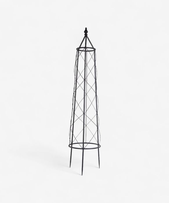 Ivy Plant Trellis Medium