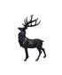 Black Stag Head Up