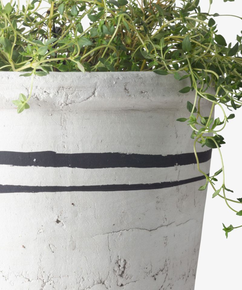 Lisbon Herb Pot Large