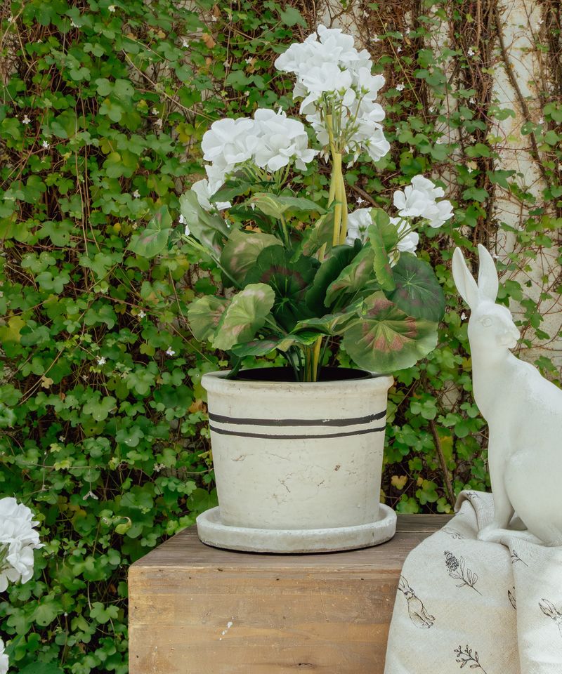 Lisbon Herb Pot Medium