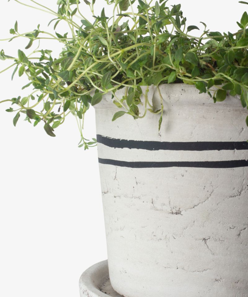 Lisbon Herb Pot Medium