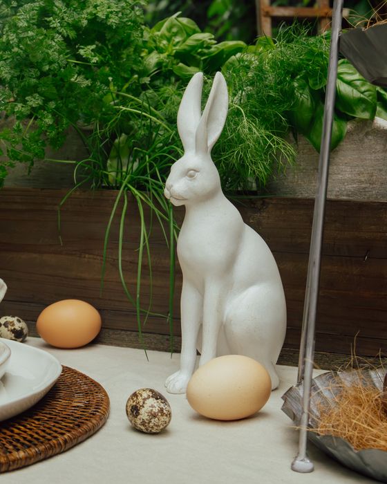 Harold the Hare Small White