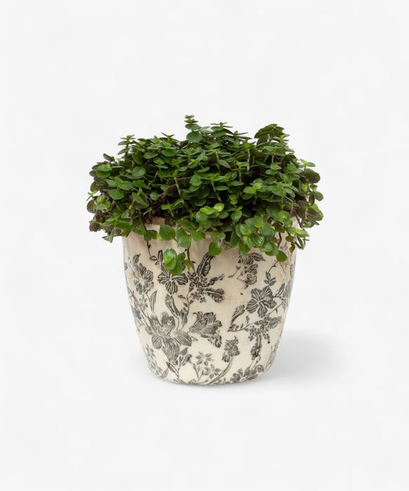 Black Floral Pot Large