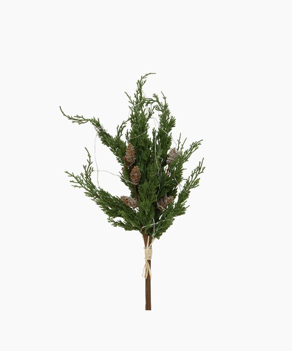 Cedar & Pinecone Branch with Lights 60cm