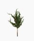 Cedar & Pinecone Branch with Lights 60cm