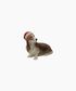 Hound with Santa Hat