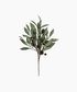 Eucalyptus & Brown Berry Wood Branch