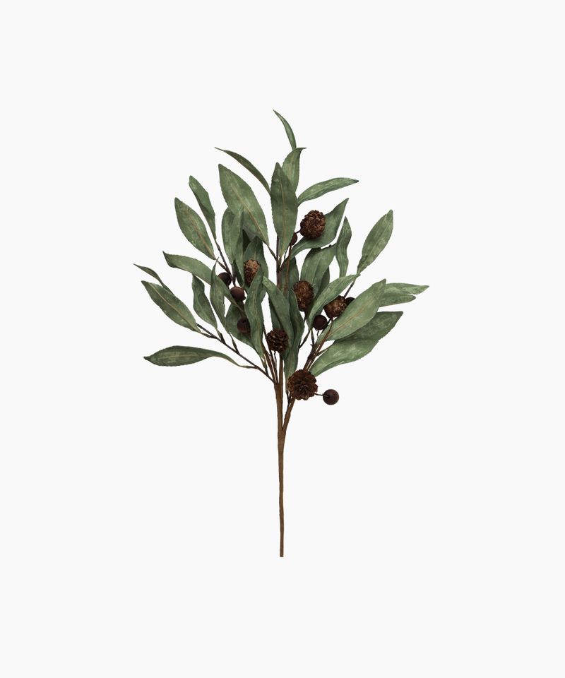 Eucalyptus & Brown Berry Wood Branch
