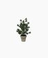 Table Pine Tree X-Small