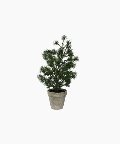 Table Pine Tree Small
