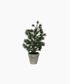 Table Pine Tree Small
