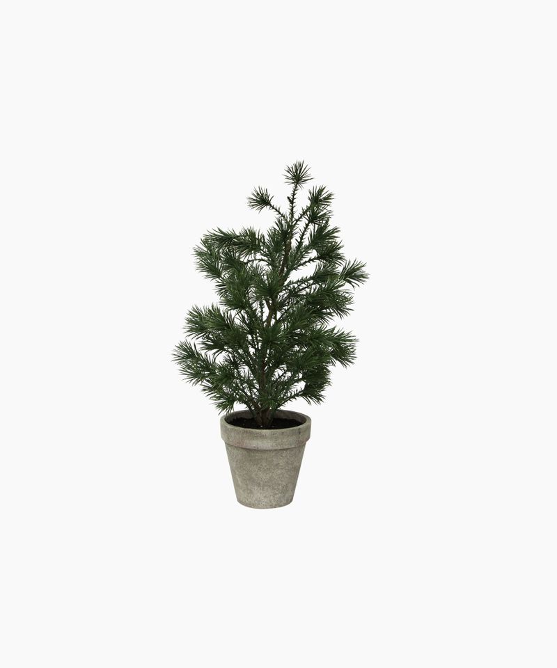 Table Pine Tree Small