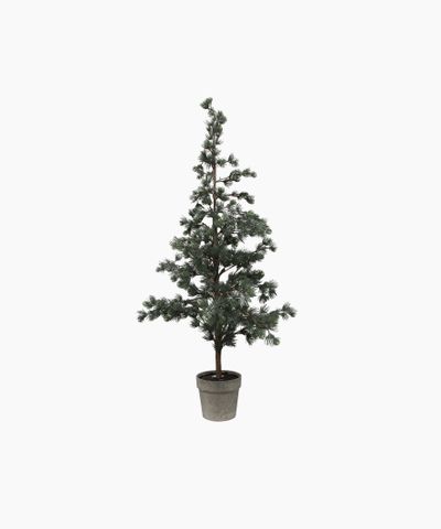 Pine Tree Dusty Medium