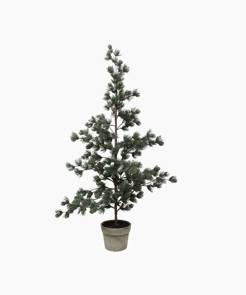 Pine Tree Dusty Large