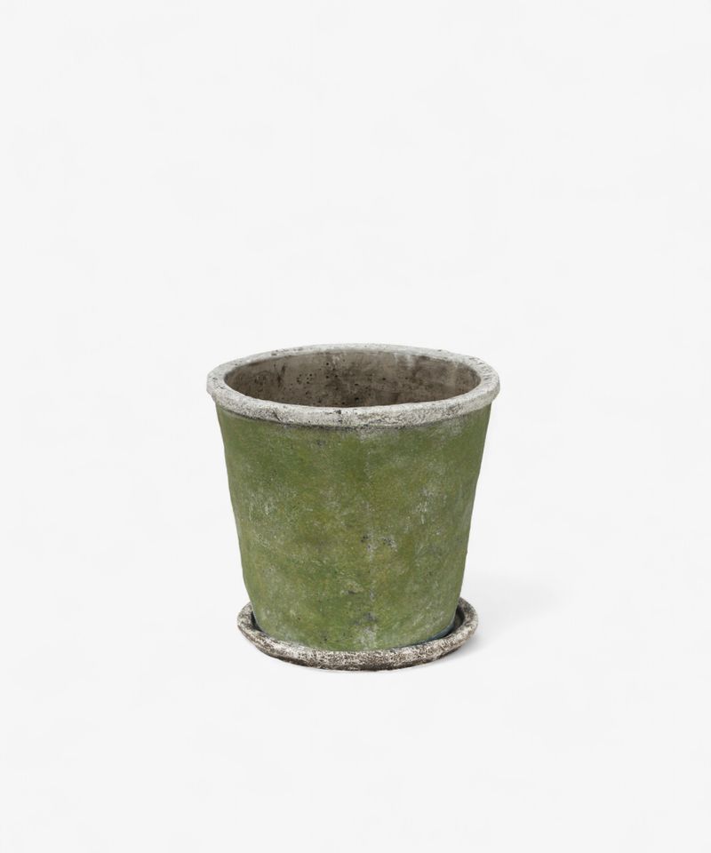 Evergreen Plant Pot & Saucer Medium