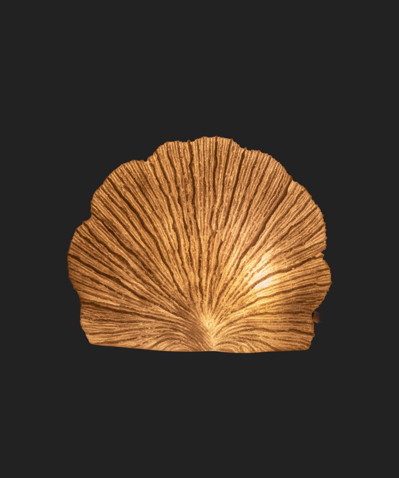 Flat Coral Decorative Light Up