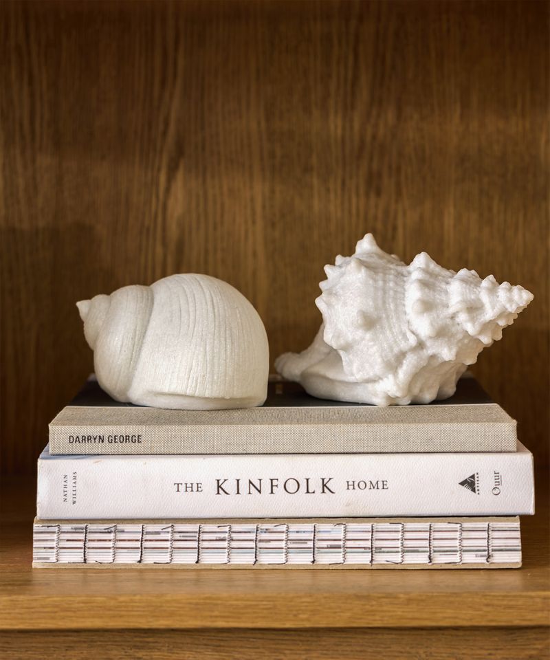 Snail Shell Decorative Light Up