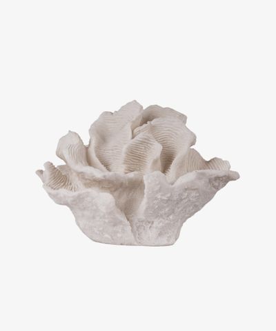 Coral Decorative Light Up