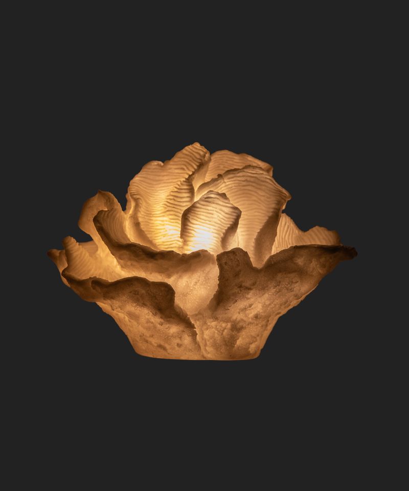 Coral Decorative Light Up