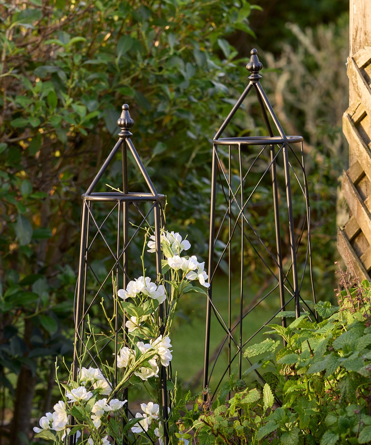 Ivy Plant Trellis Brown (SET3)