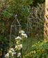 Ivy Plant Trellis Brown (SET3)