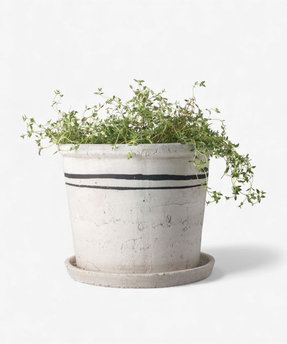 Lisbon Herb Pot Large