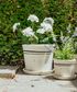 Lisbon Herb Pot Large