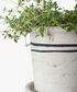 Lisbon Herb Pot Medium
