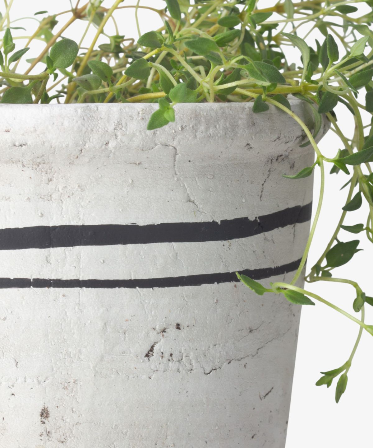 Lisbon Herb Pot Small