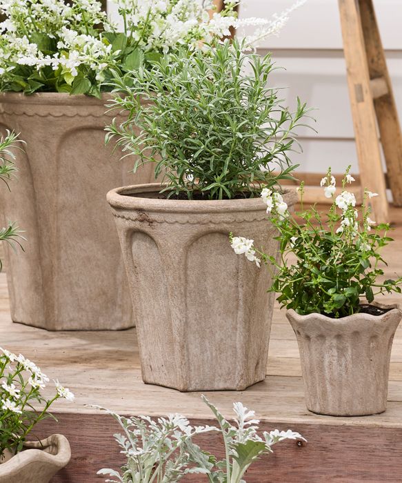 Terra Arc Planter Medium