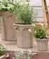 Terra Arc Planter Medium