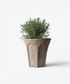 Terra Arc Planter Medium