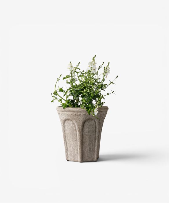 Terra Arc Planter Small