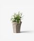 Terra Arc Planter Small