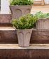Terra Arc Planter Small