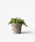 Terra Fluted Planter Small