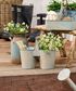 Jardin Seedling Holder Antique Blue