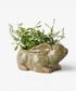 Celadon Rabbit Planter