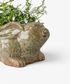 Celadon Rabbit Planter